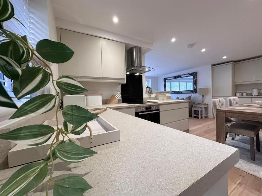 Apartamento 2Bed Ground Floor Flat + Garden Sunningwell Exterior foto